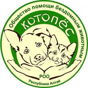 Выставка бездомных животных в Горно-Алтайске пройдет 22 февраля 2020 года