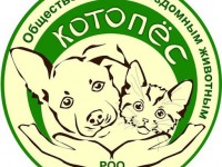 Выставка бездомных животных в Горно-Алтайске пройдет 22 февраля 2020 года